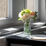 Modern Very Berry In By Renters