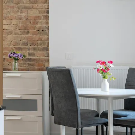 Modern Very Berry In By Renters Apartment