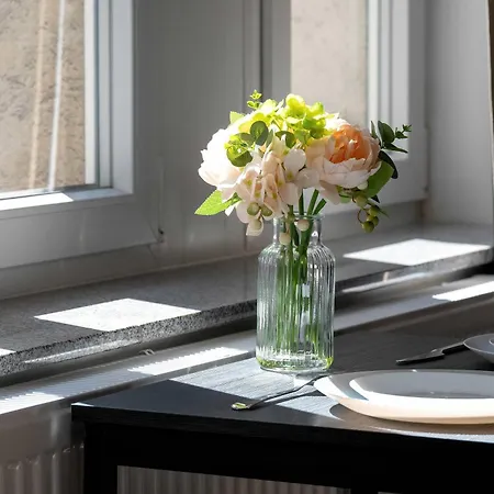 Modern Very Berry In By Renters