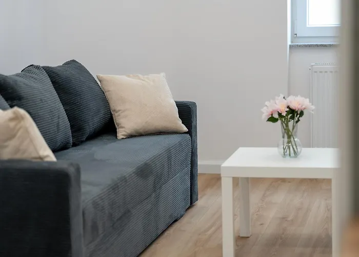 Apartment Modern Very Berry In By Renters