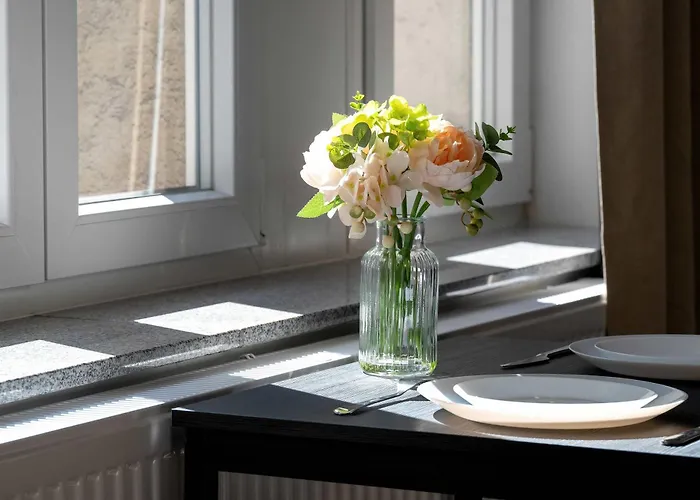 Modern Very Berry In By Renters